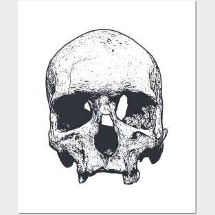 Skull Posters and Art